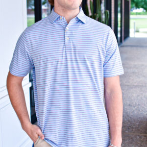 PETER MILLAR Dunnes Performance Jersey Polo in Cottage Blue