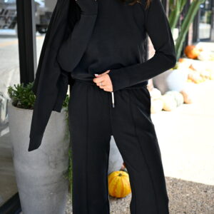 FUNDAMENTAL COAST Later On Wide Leg Pant in Jet Black