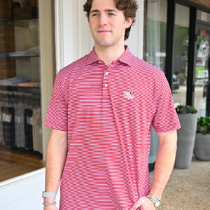 PETER MILLAR Tiebreaker Performance Jersey Stripe Polo with Schooner/SEC in Crimson