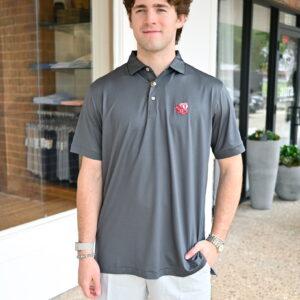 PETER MILLAR Hugo Performance Jersey Polo with Schooner/SEC in Iron