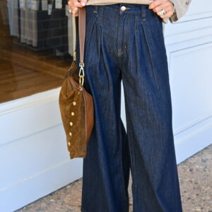PISTOLA Delphine Pleated Denim Wide Leg in Force